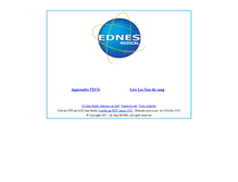 Tablet Screenshot of ednes.com